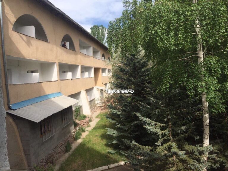Илбирс Иссык куль