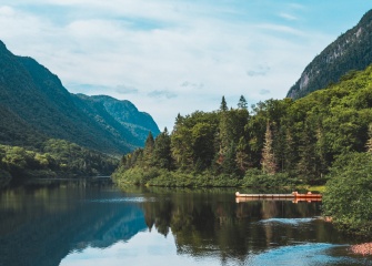 lake in the forest_4